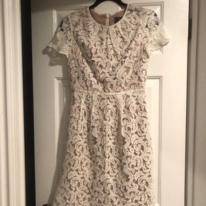 Adrianna Papell cream lace dress